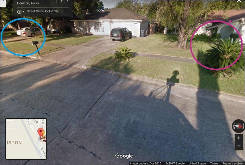 Houston - we were pink - family - the whole brood- blue