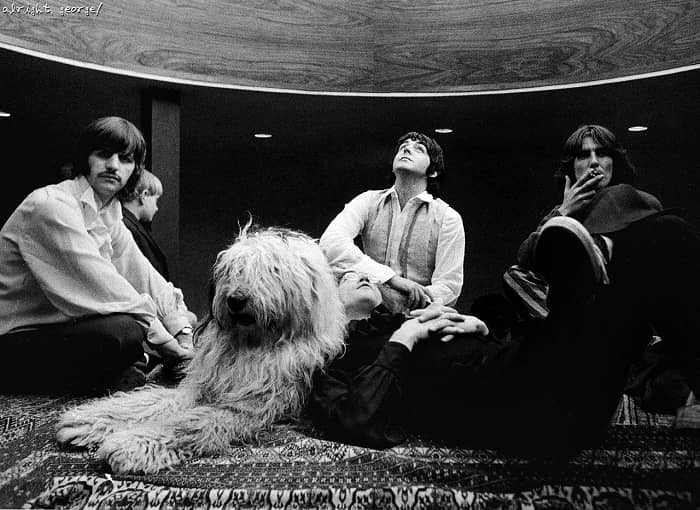 “We went back to Paul McCartney’s house in St John’s Wood, and after having tea we went out into his garden where there was this dome, like something out of James Bond or Doctor Who. We all lay around with a huge floppy dog in this strange science-fiction-like space.” —Don McCullin! “A Day In The Life Of The Beatles”